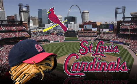 stl cardinals background|free cardinal wallpaper desktop.